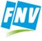 fnv_logo